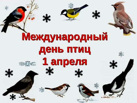 Смотреть видео