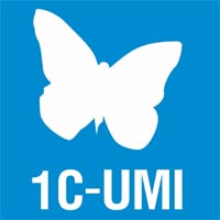 Создание сайтов